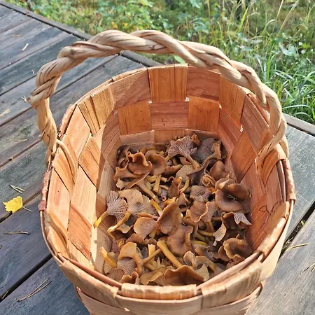 Beautiful At Saimaa, Rantamaja בקתה